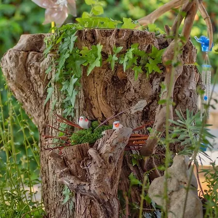 App Luka-we Nature.