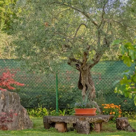 App Luka-we Nature. Sveti Ivan (Istria)